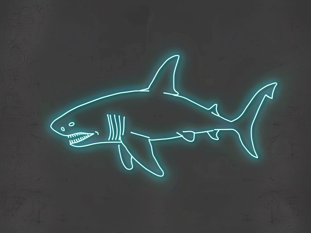 Neon Aqua Wobbegong Shark 6