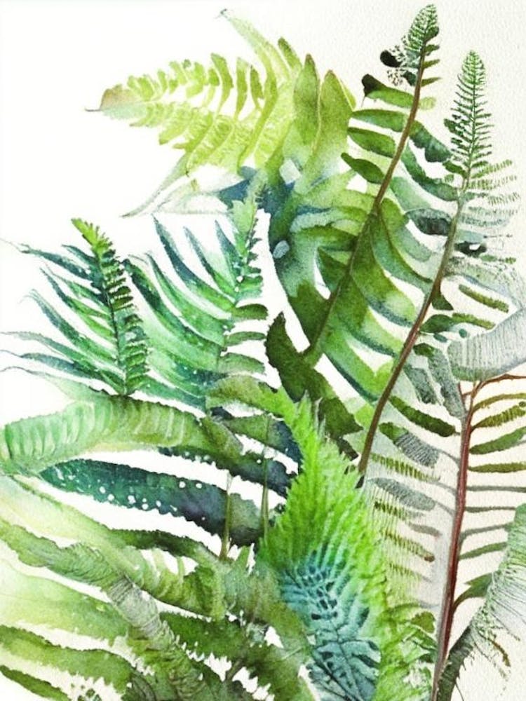 Adlerfarn Wildblume Aquarell
