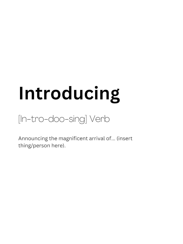 Introducing Definition Meaning