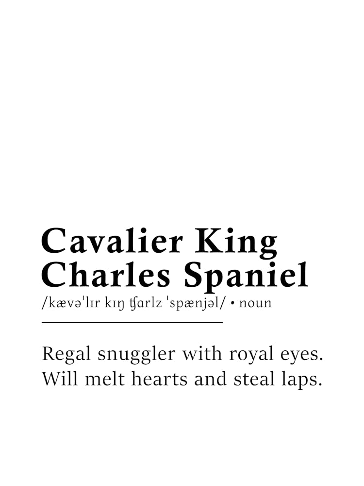 Cavalier King Charles Spaniel Definition Poster - Dictionary