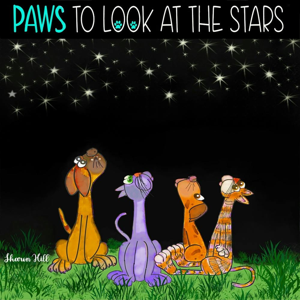 Paws To Look At The Stars