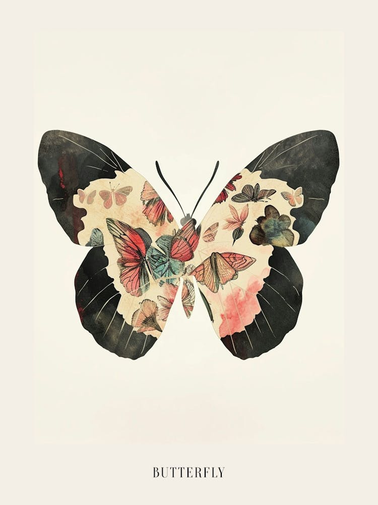Colourful Insect Illustration Butterfly 27 Poster
