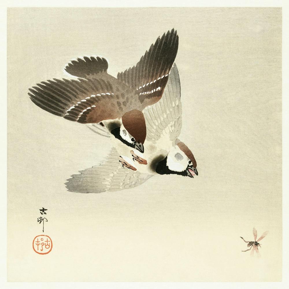 Ring Sparrows And Insect (1900 1936), Ohara Koson