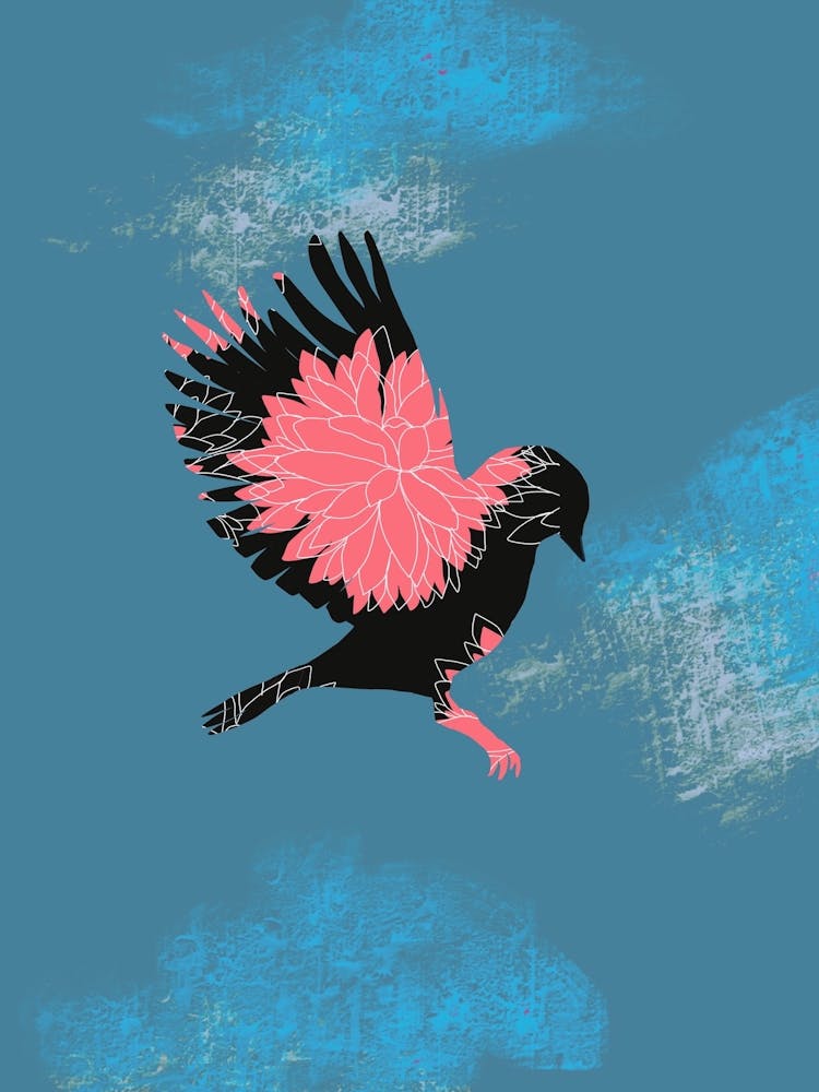 Vogel Im Flug