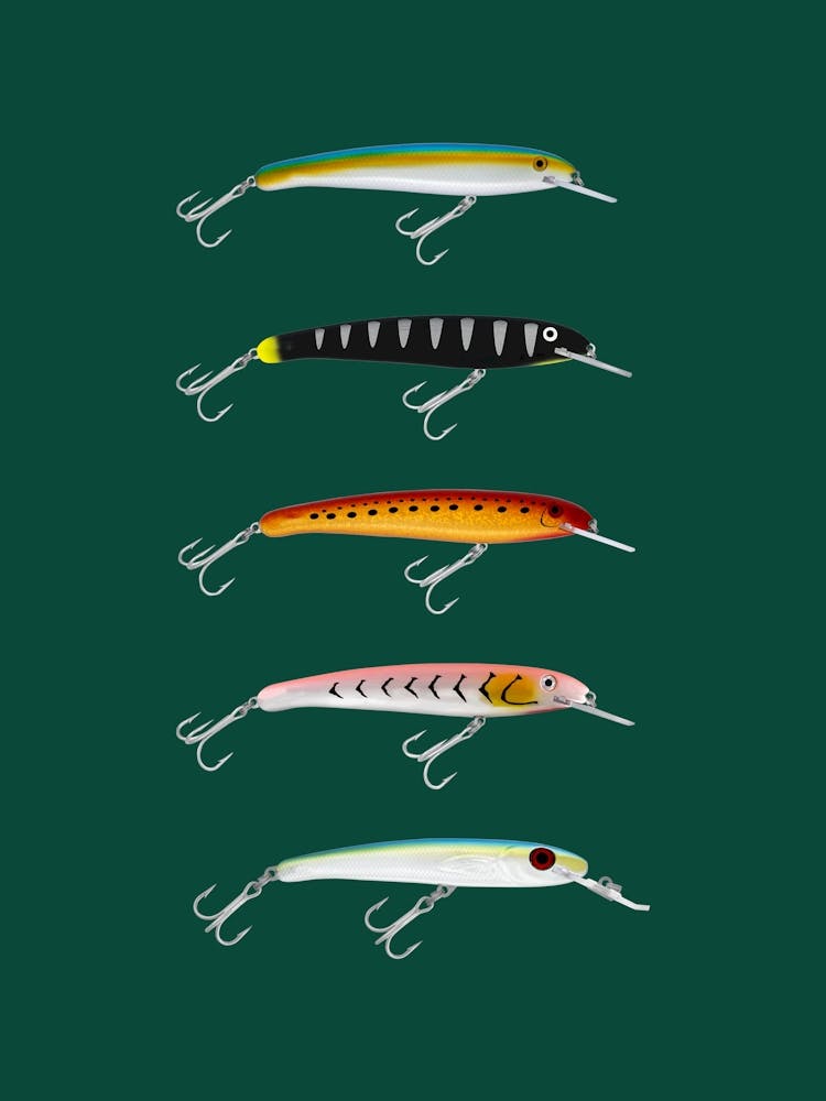 Lure Sardines 1