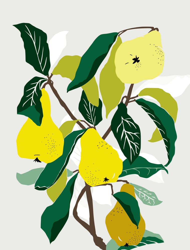 Yellow Pears
