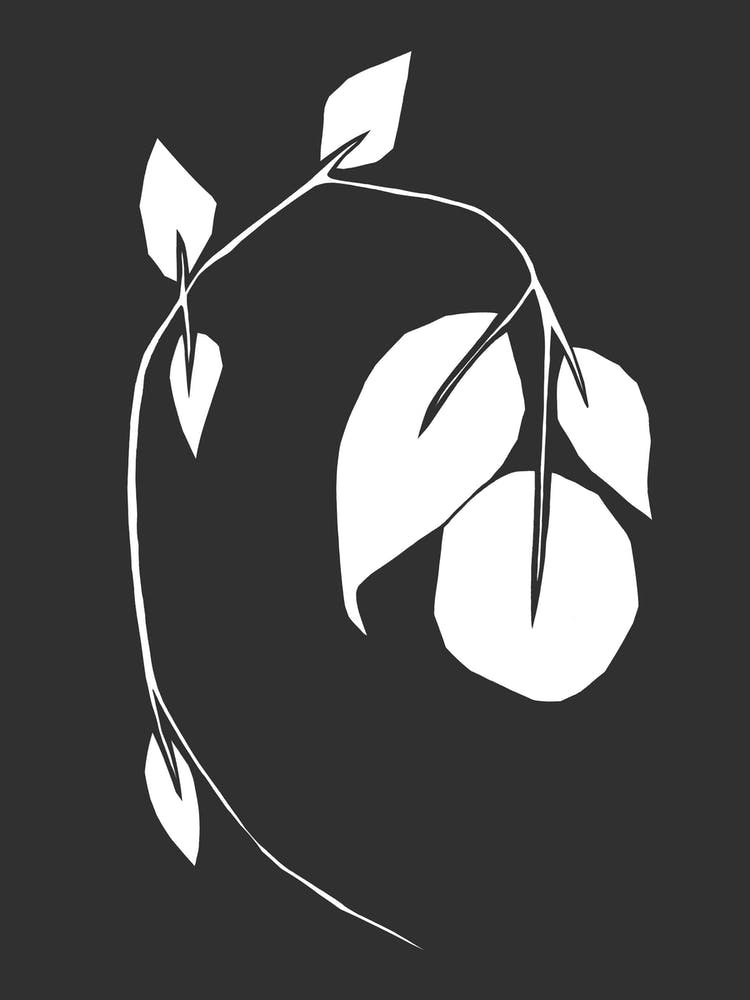 Bend