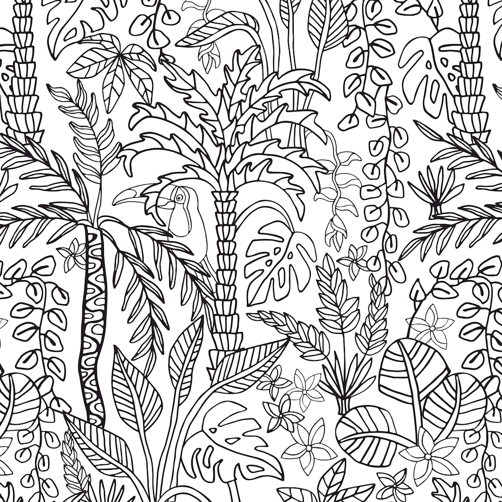 COLOURING BOOK JUNGLE Floral Doodle Tropical Palm Trees Monstera Plants Toucan Line Drawing in Black and White