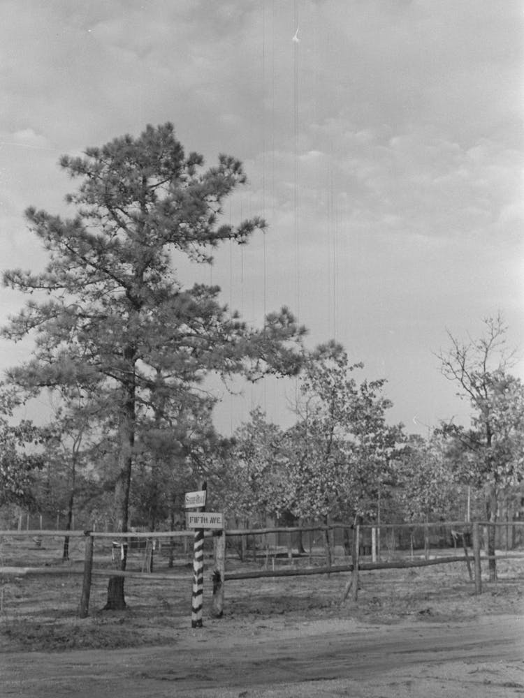 Untitled Photo Possibly Related To Sign Showing Donation Of Land By Land Developing Project, Central New Jersey