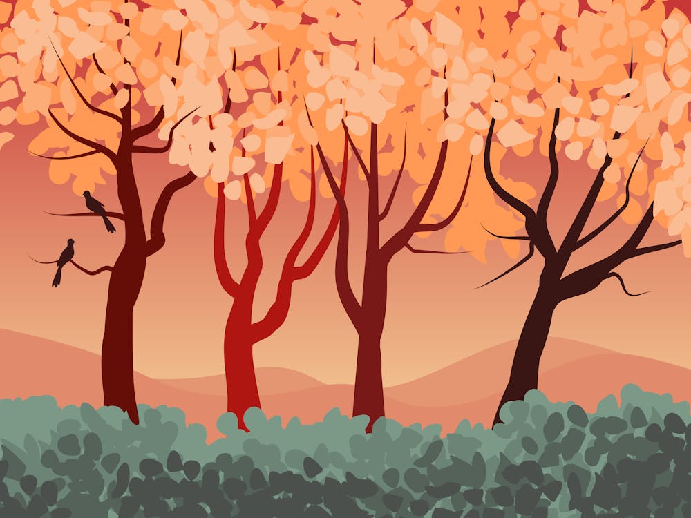 Landscape Nature Forest Trees Vegetation Stylized Birds Silhouettes Fall Design Sheets Afternoon Mountains Sky