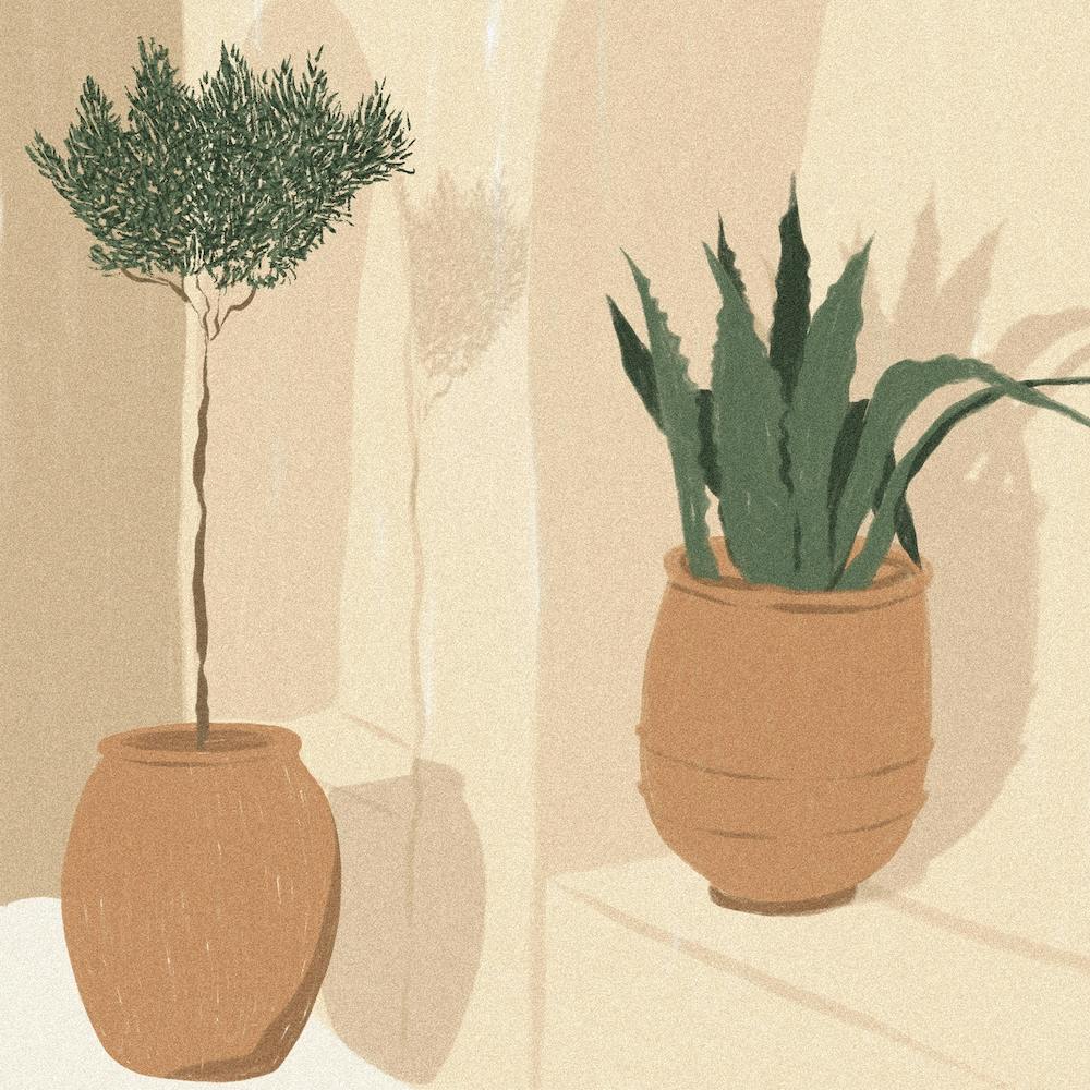 Mediterranean Scene Square