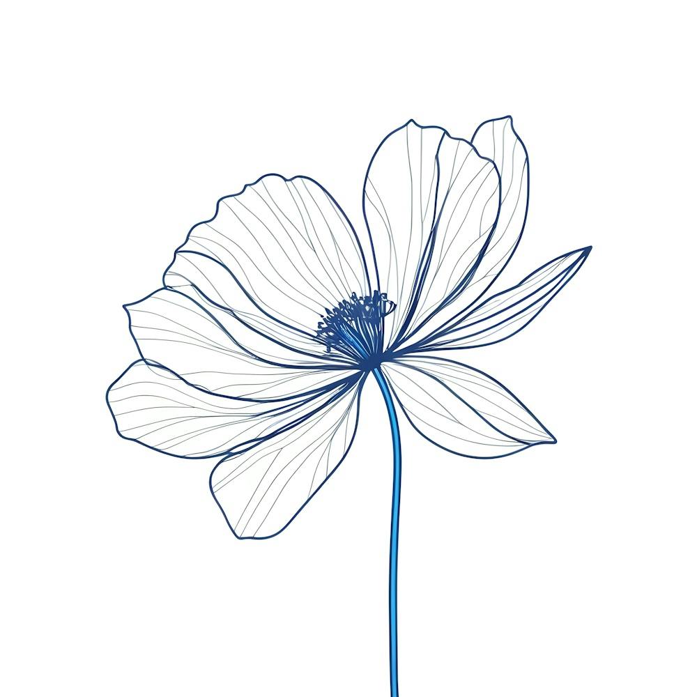 Anemone Flower 3