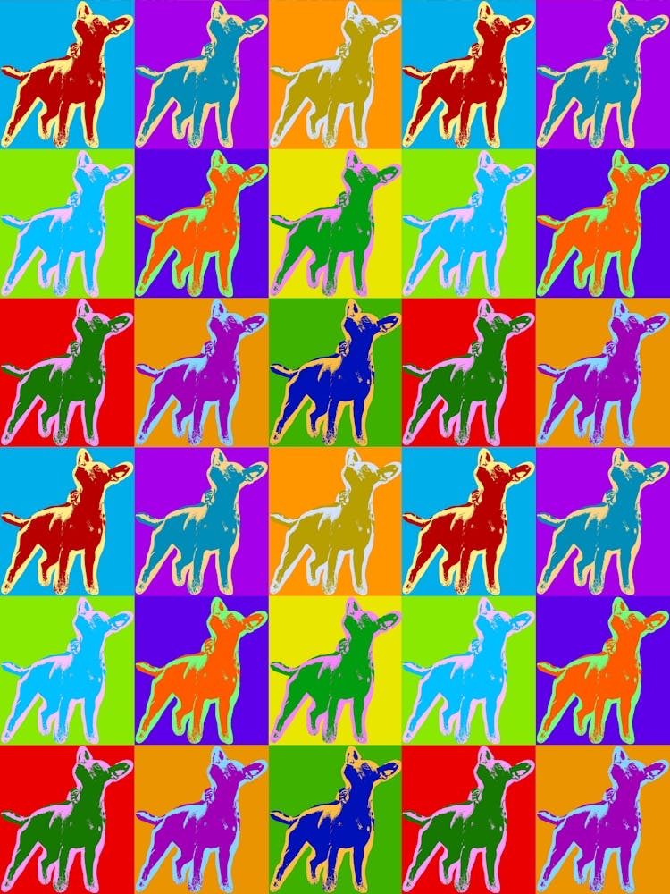 Pop Dogs