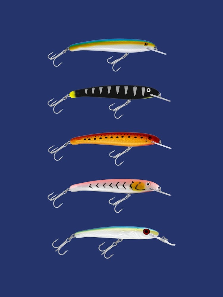 Lure Sardines 2