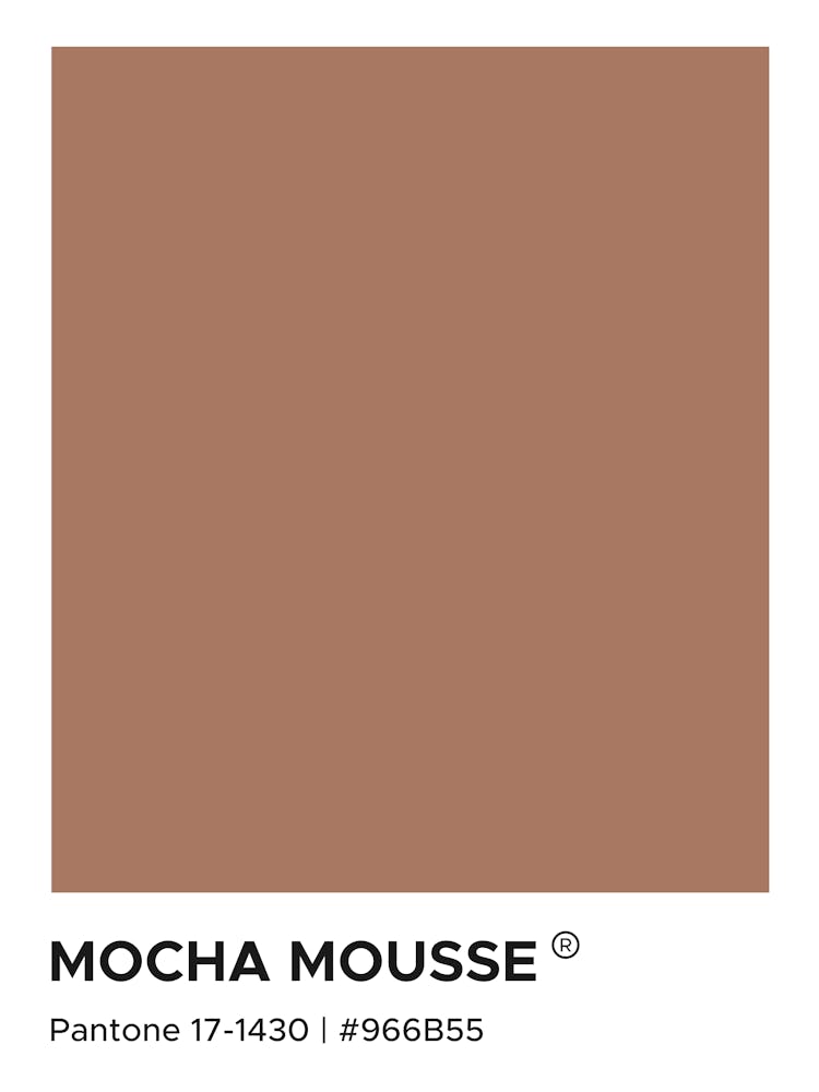 Mocha Mousse Pantone, cool, cute, calm, brown, pantone, swatch, colorful, aesthetic, minimal, modern, spring, kitchen, food, vibes, coffee, mocha, decor, minimalism