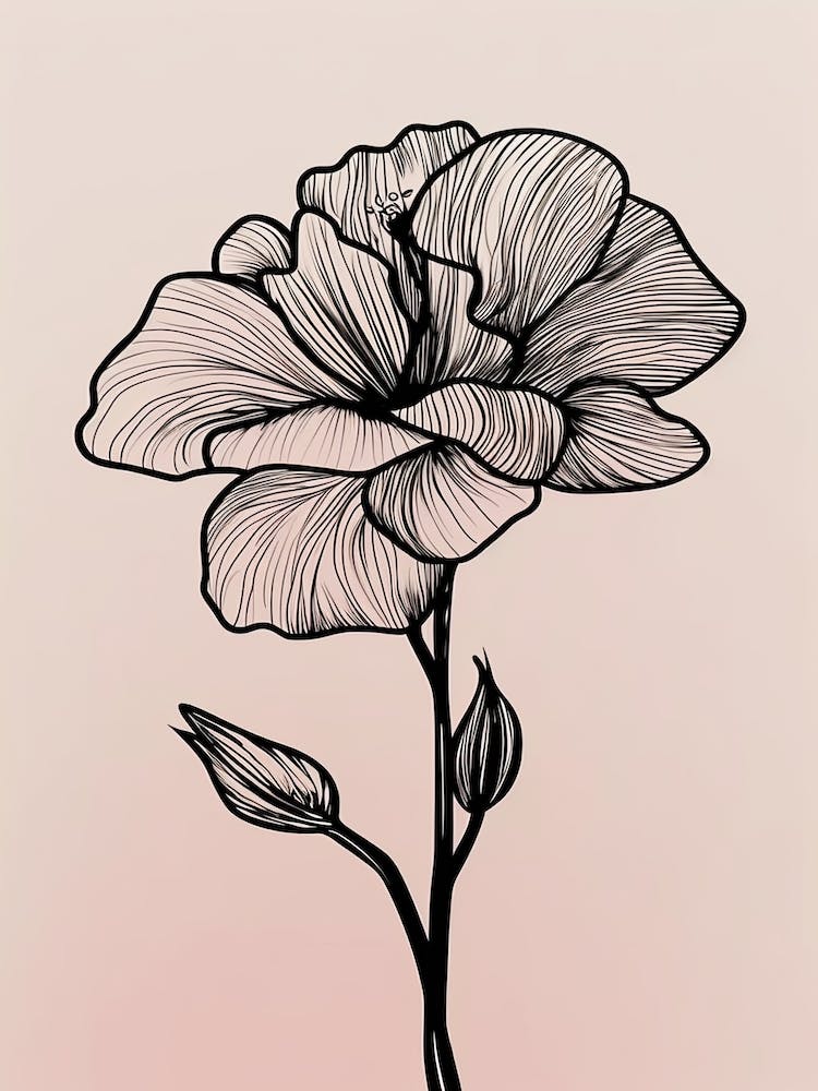 Gladioli Line Art Flowers Illustration Neutral 18