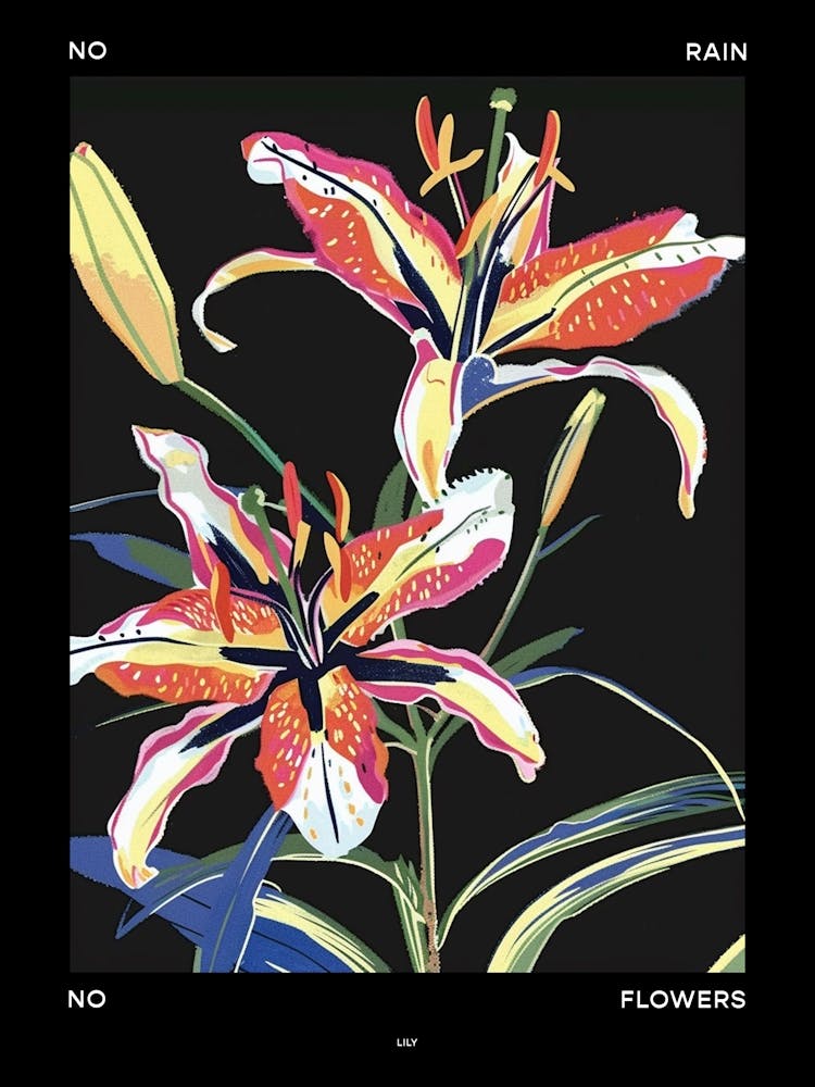 No Rain No Flowers Poster Lily 5
