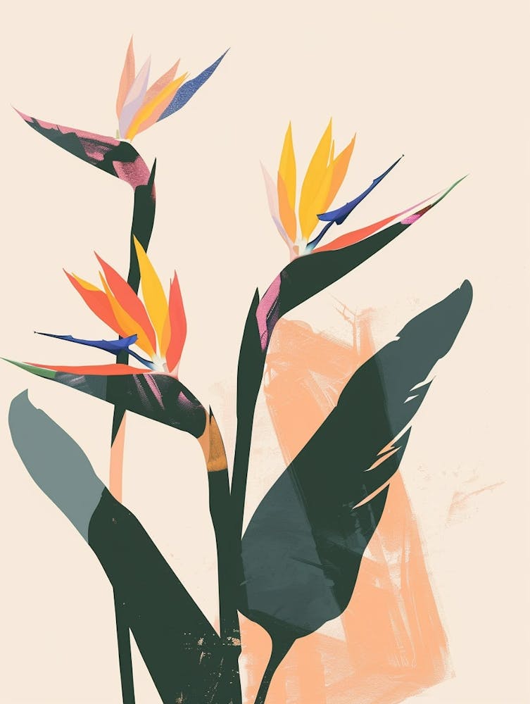 Bird Of Paradise Plant Minimalist Illustration 3