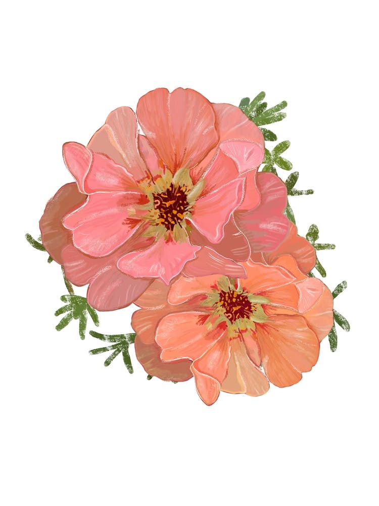 Tropical Pink Flowers