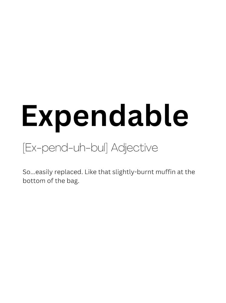Expendable Definition Meaning