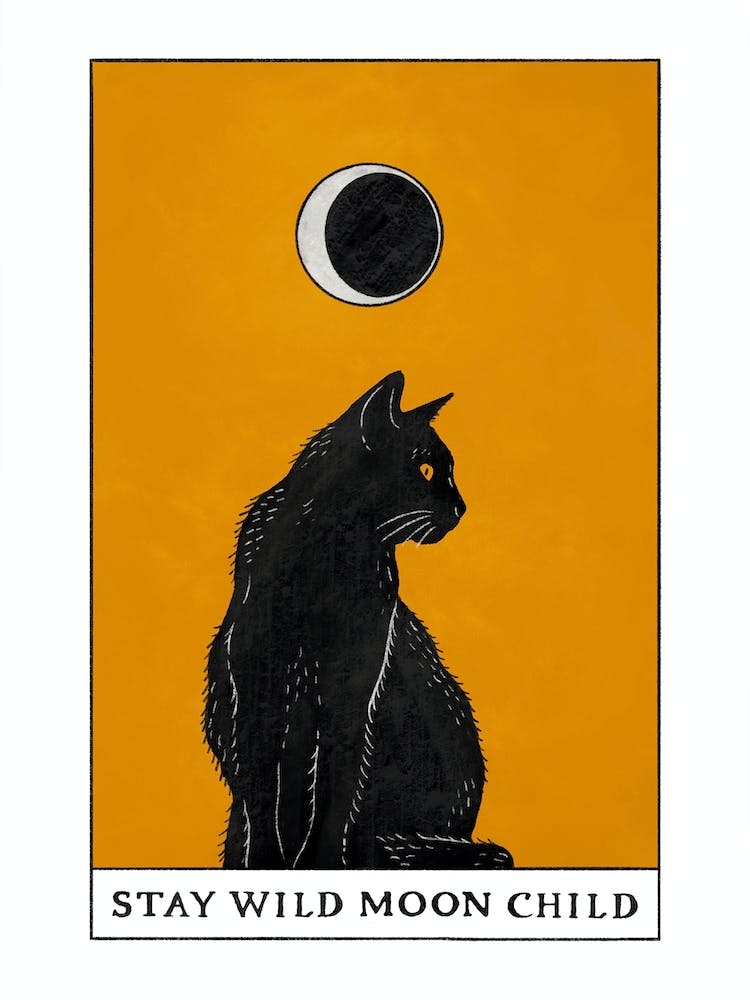 Stay Wild Moon Child Black Cat