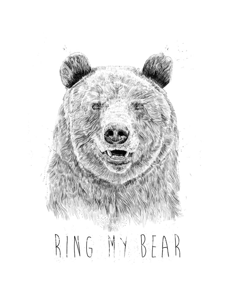 Sonnez mon ours (n&b)