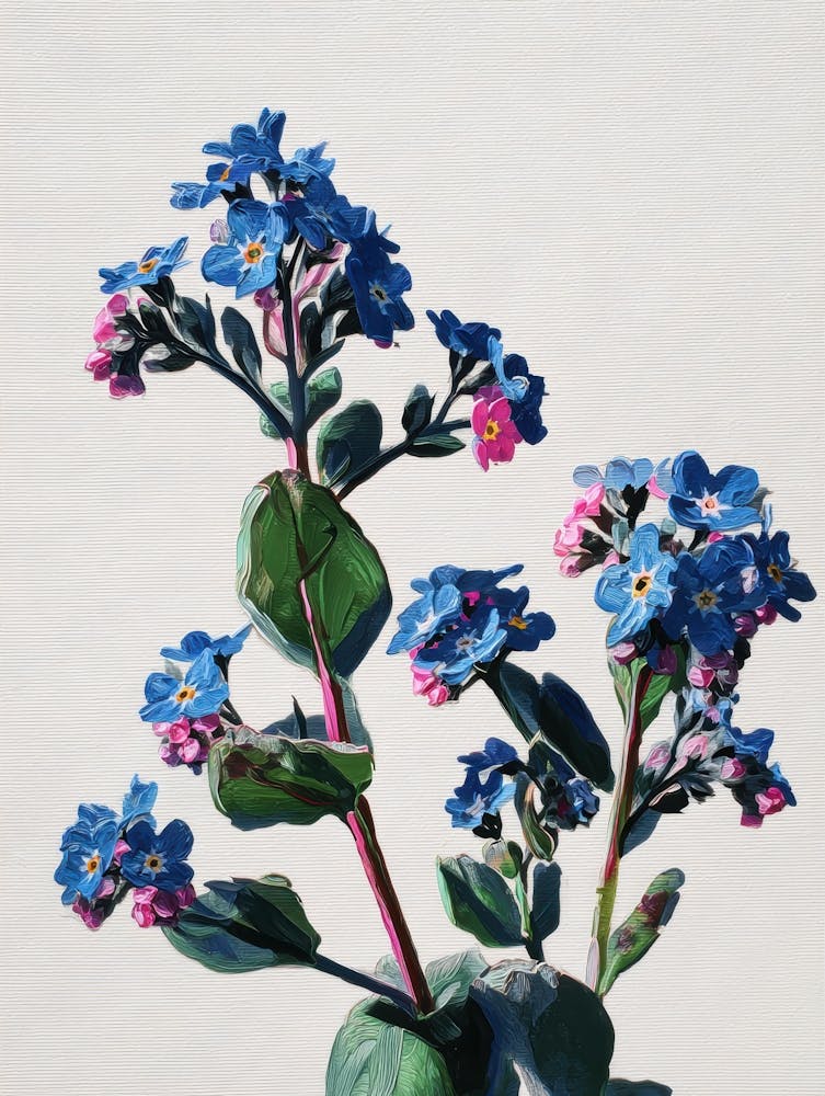 Forget Me Not 1