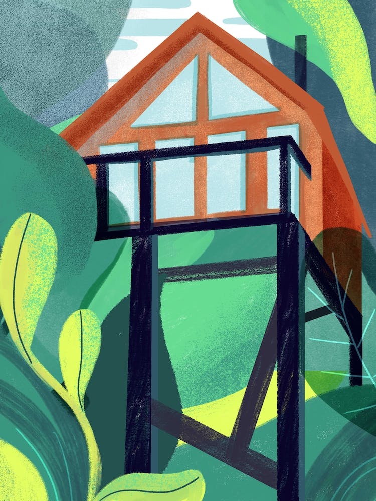 Tree House