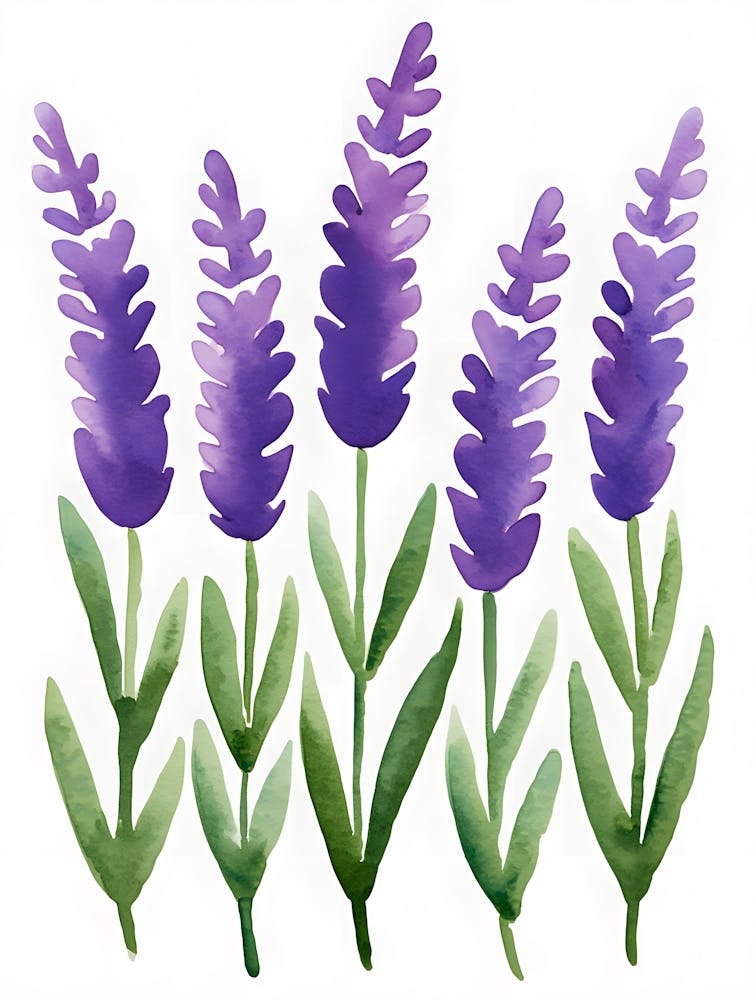 Calming Lavender - Peaceful Watercolor Botanical Decor