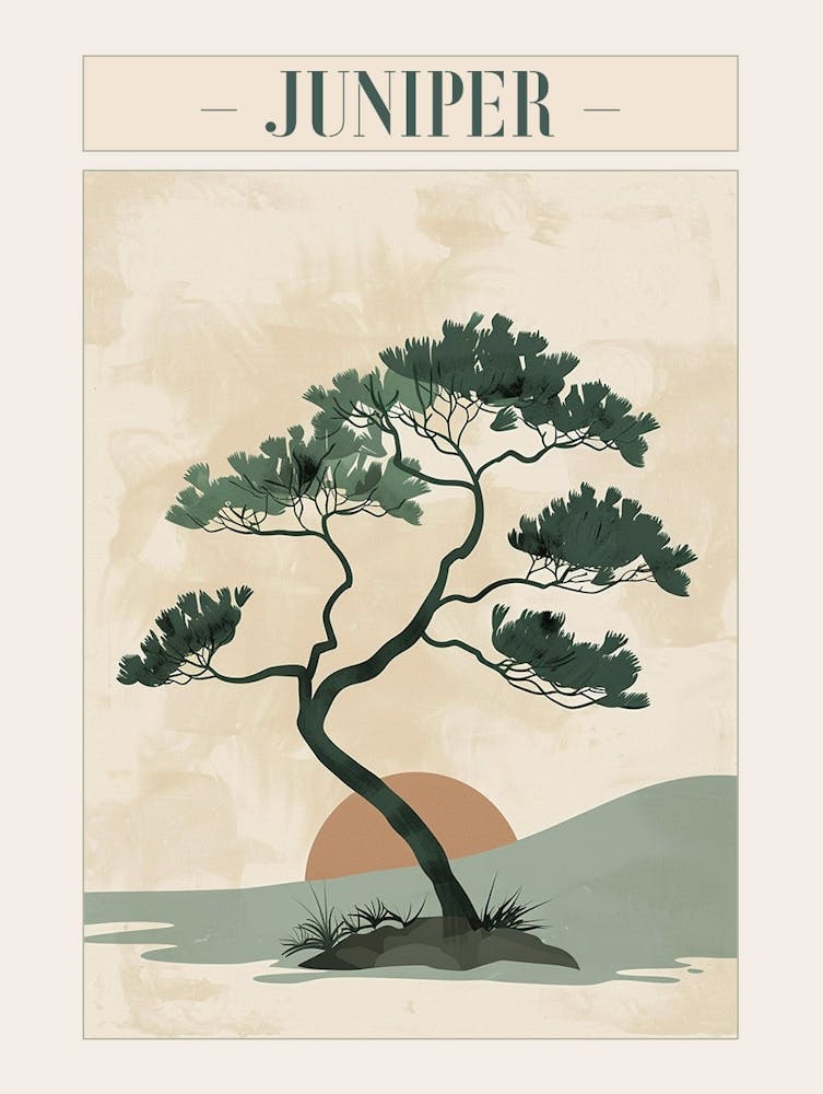 Juniper Tree Minimal Japandi Illustration 4 Poster