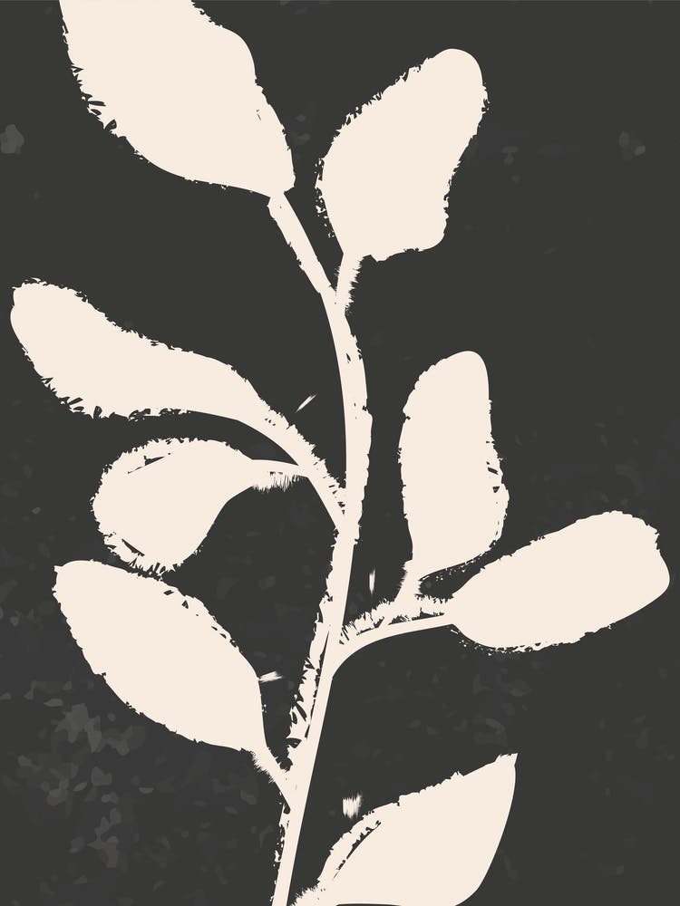 Black And White Leaf Print