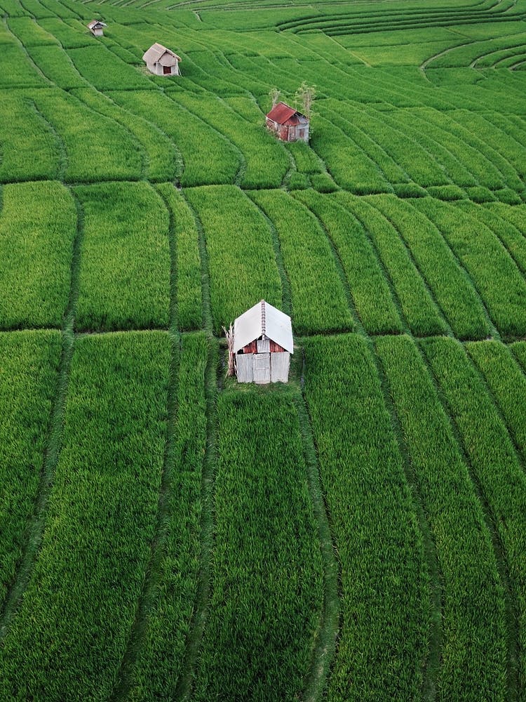 Canggu Bali