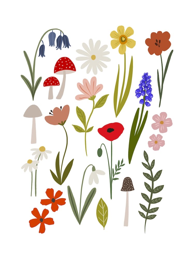 Forest Flowers