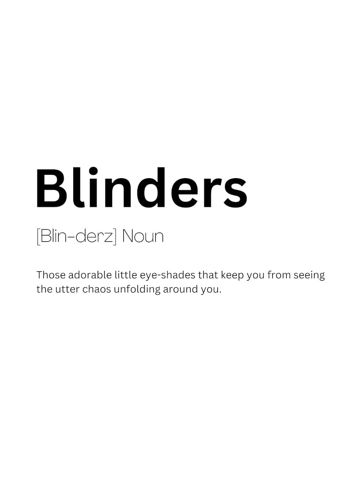 Blinders Definition Meaning