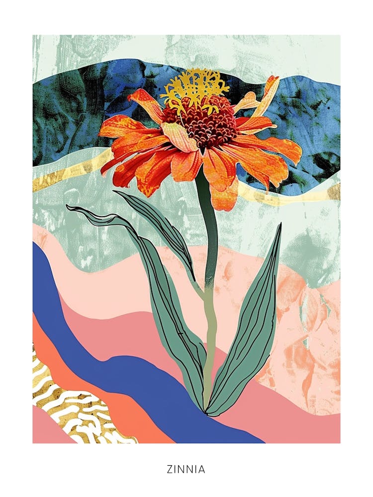 Colourful Flower Illustration Poster Zinnia 4