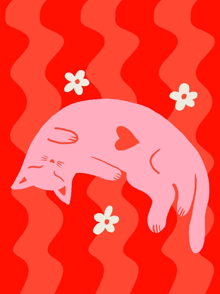 Pink Sleepy Cat On Wavy Backgound 1