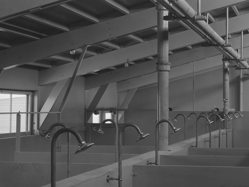 Showers In The Sanitary Unit At The Migratory Labor Camp, Sinton, Texas By Russell Lee