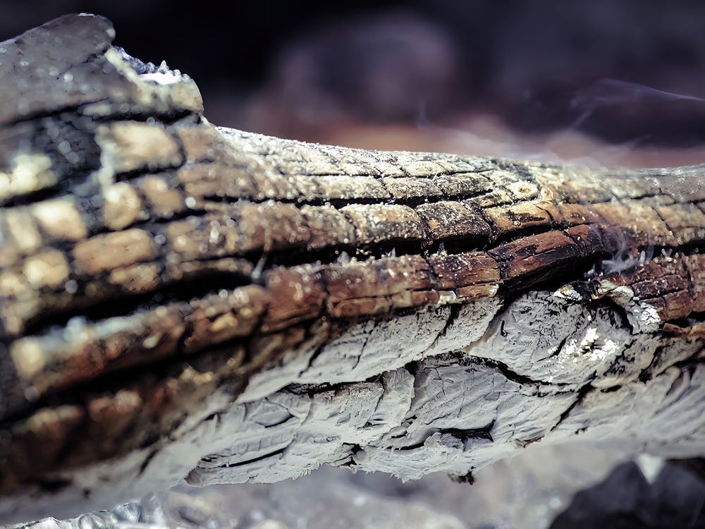 Log Burned In Stones Bonfire 1