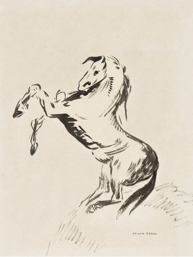 Horse On Its Hind Legs