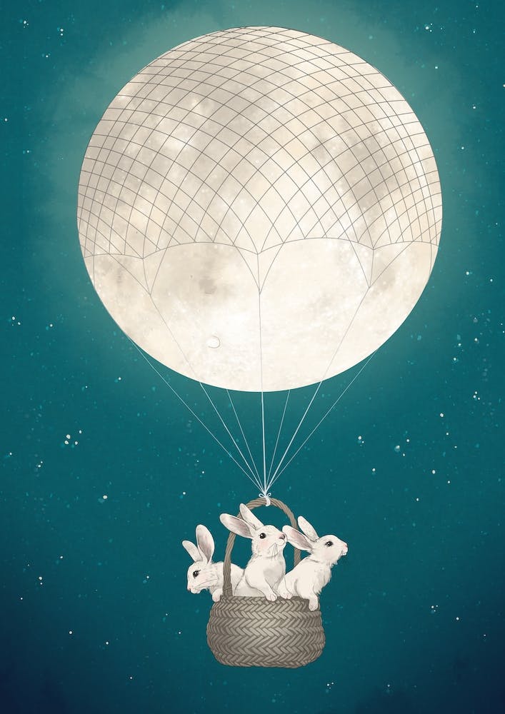 Moon Bunnies