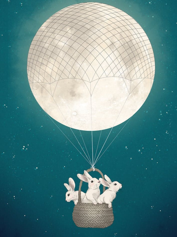 Moon Bunnies