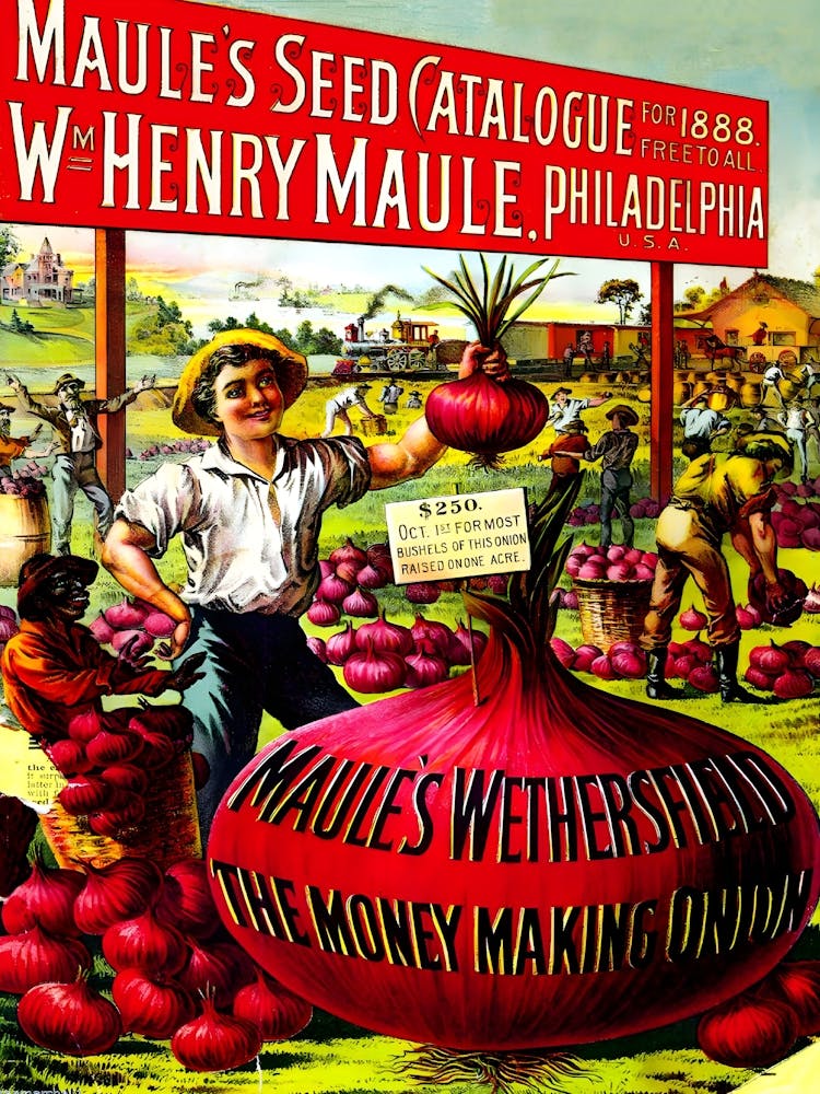 Maule's Seed Catalog, Funny Vintage Brochure Cover, Advertisement
