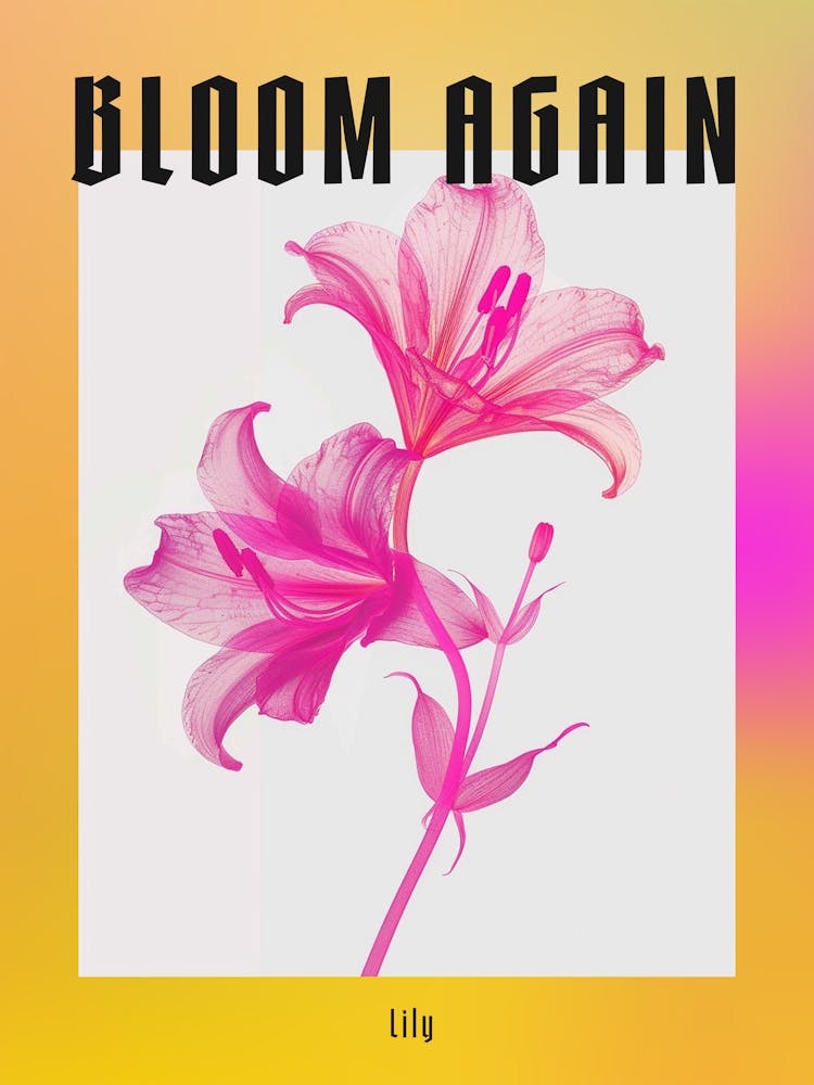 Hot Pink Lily 3 Poster