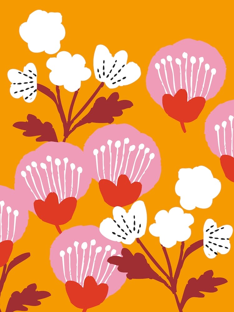 Blooms Pink