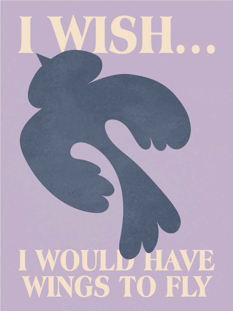 I Wish I Could Fly