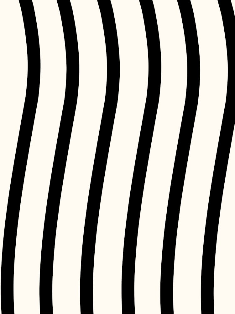 Black And White Stripes 2