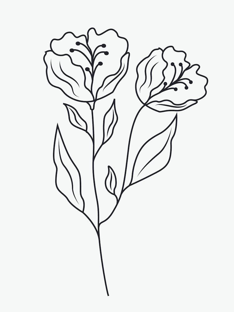 Line Drawing Of Flowers
