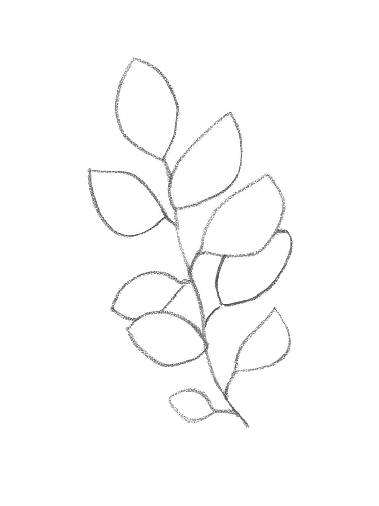 Leaf Drawing