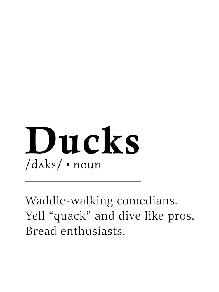 Ducks Definition Poster - Dictionary