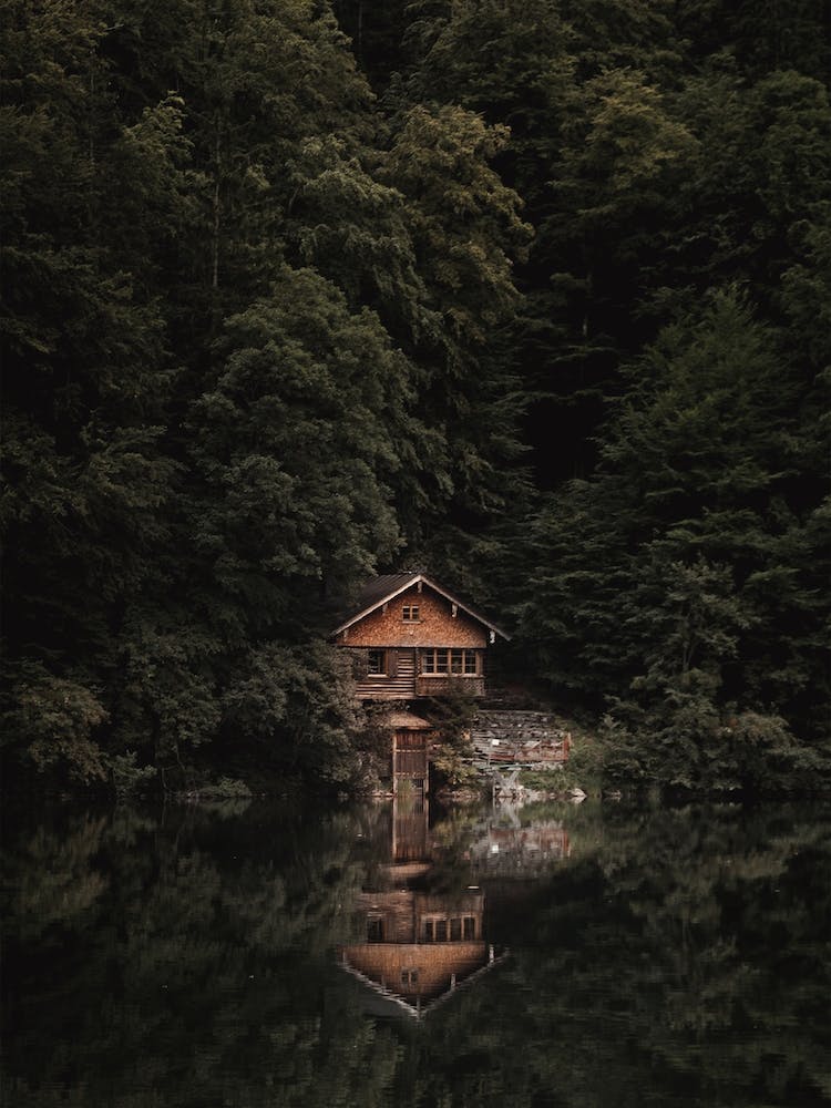 Hidden Cabin Scenery